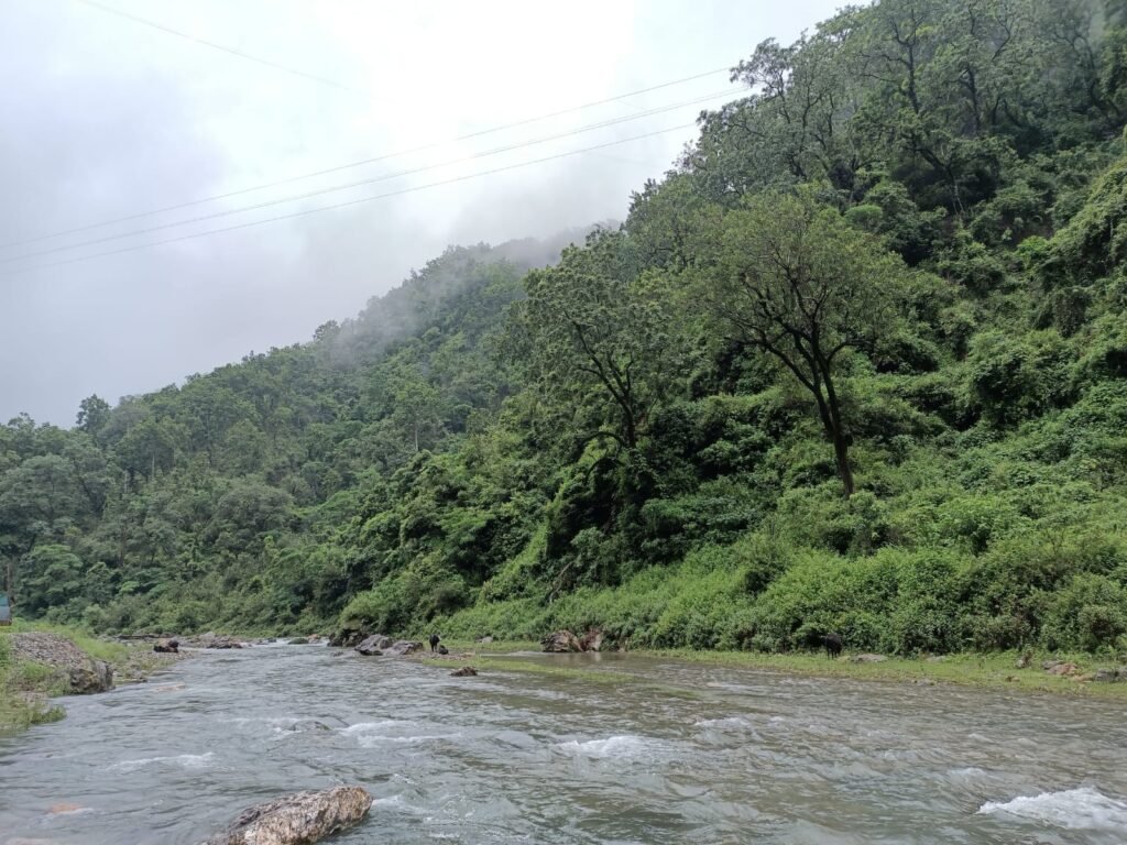 WhatsApp Image 2024-07-10 at 12.56.17 PM