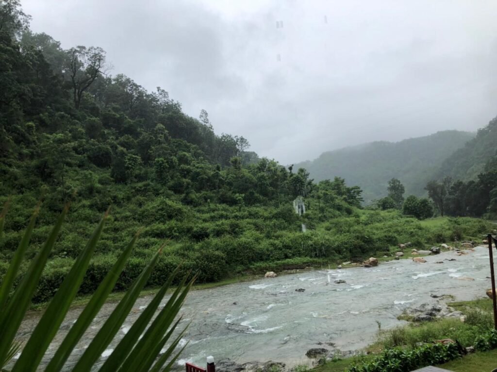 WhatsApp Image 2024-07-10 at 12.56.18 PM