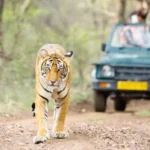 Kalagarh Tiger Reserve Lansdowne